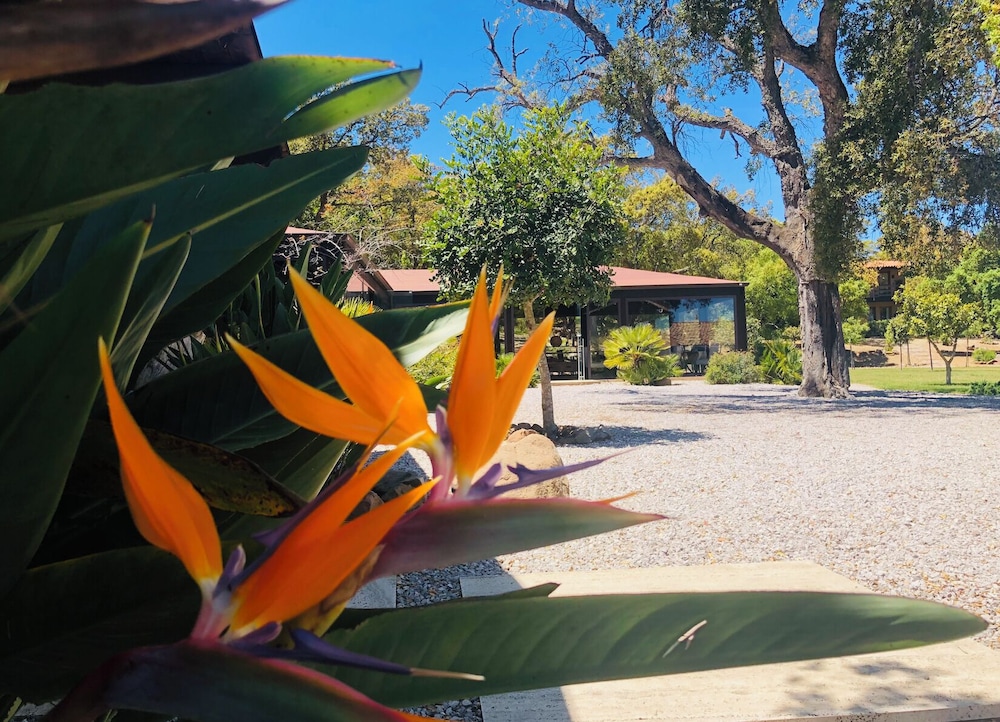 Vallegrande Nature Resort 50/63