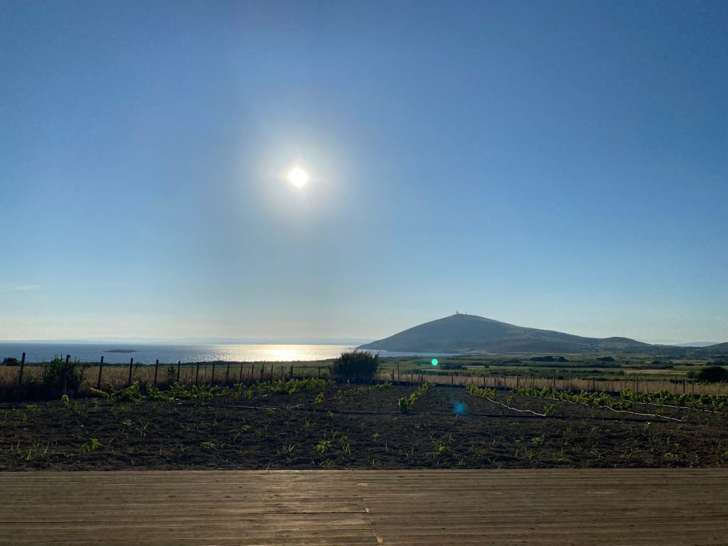 Pelin-Inn Ada Evi 22/26