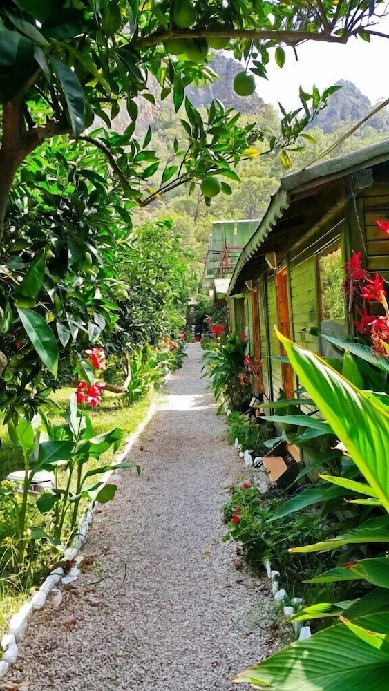 Olympos Tatilya Pansiyon 32/41