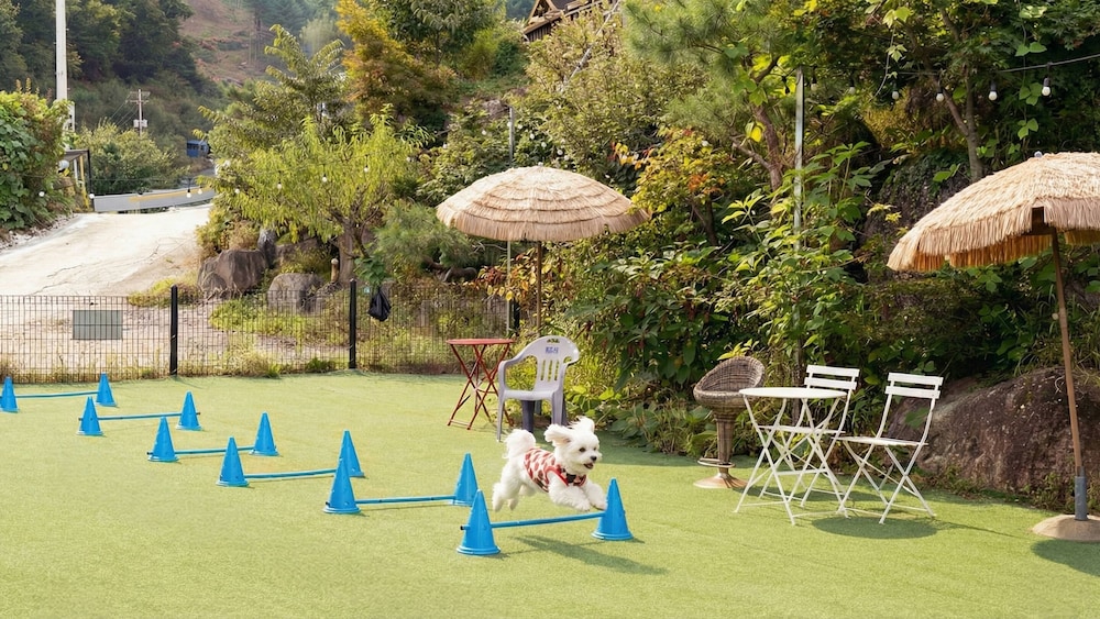 Gapyeong Alum Malu Pension 36/49