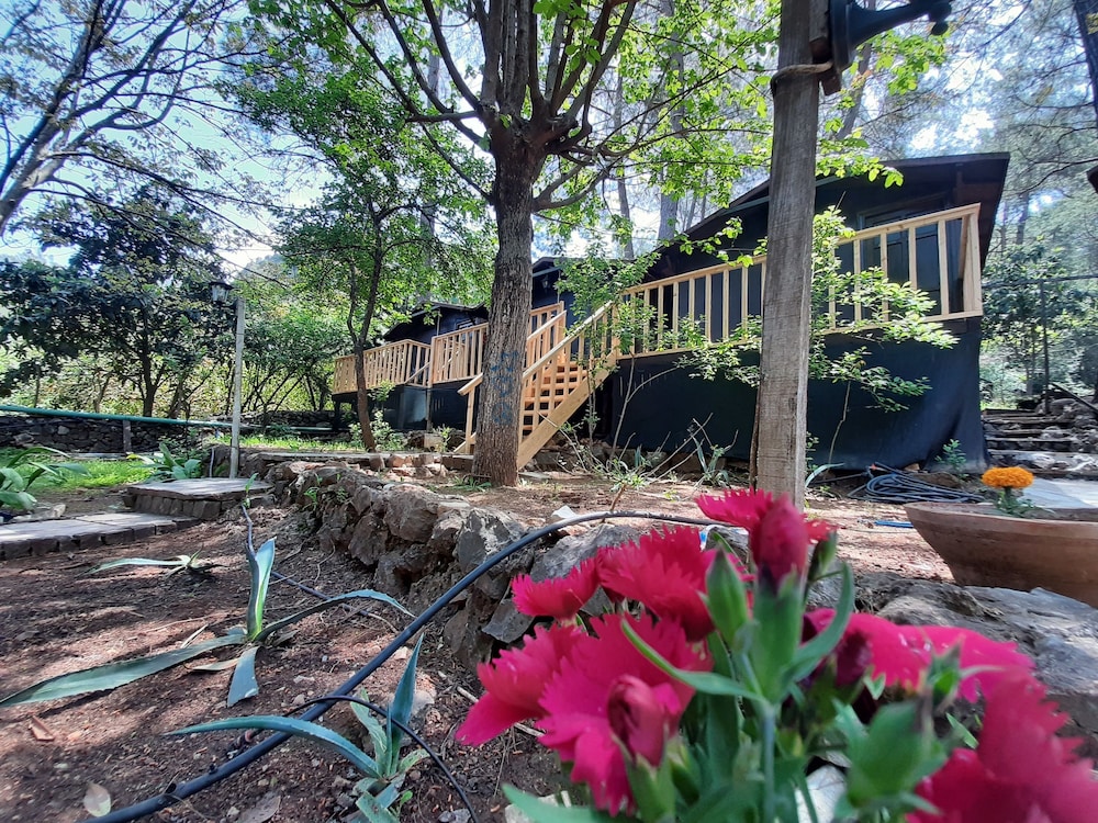 Altaris Bungalows Olympos 18/19