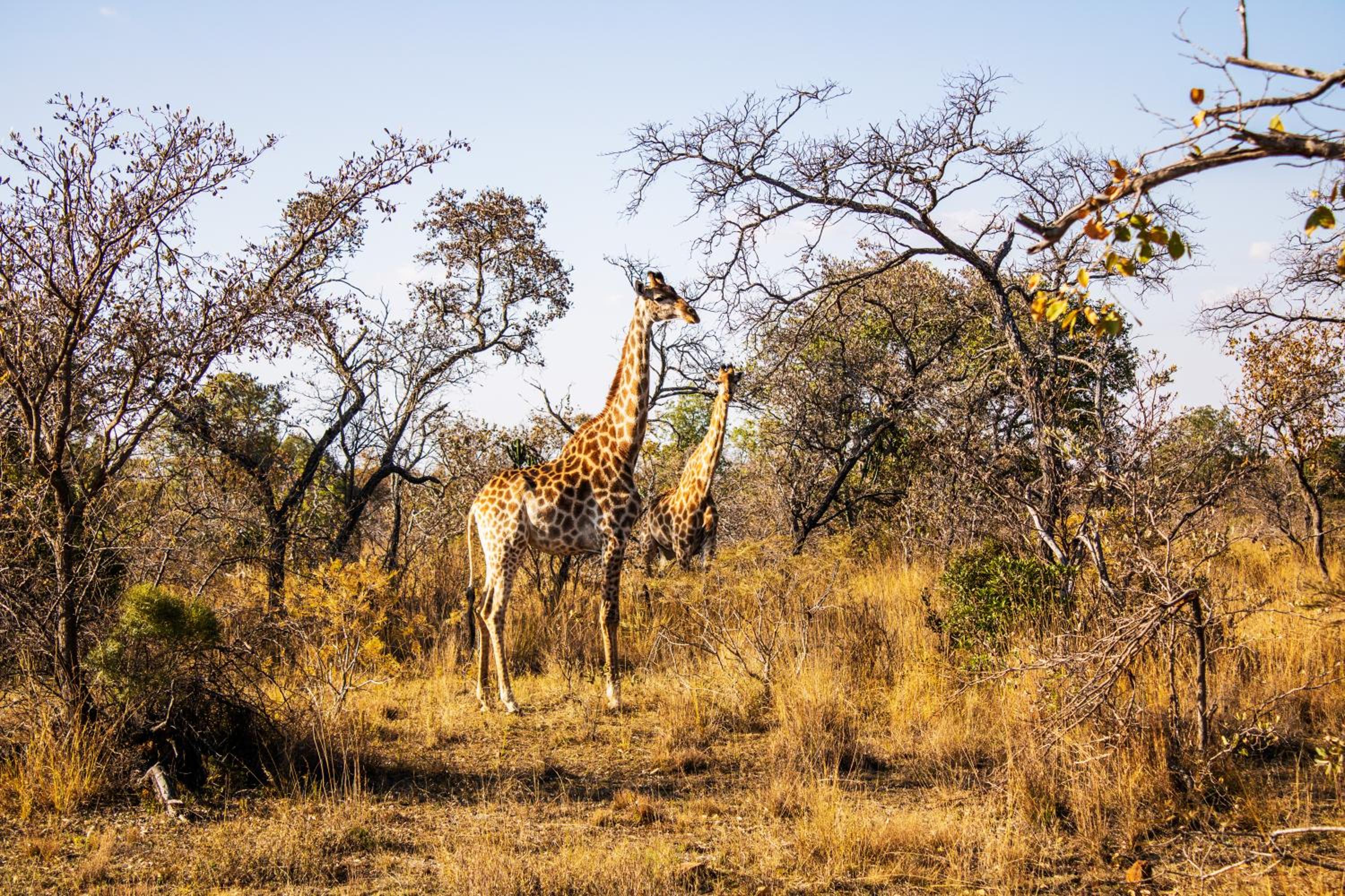 Fumani Game Lodge 34/50