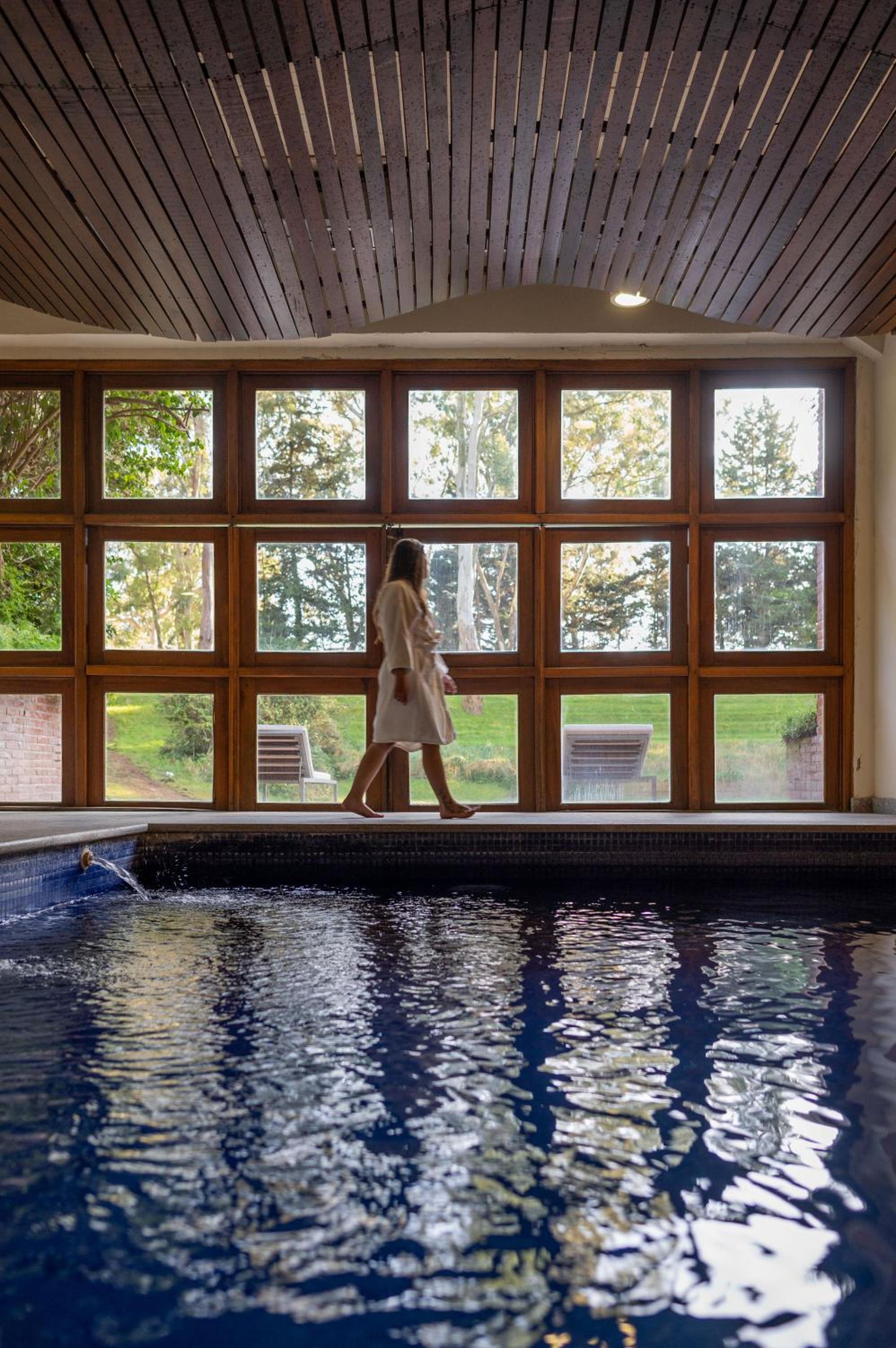 Hotel Del Bosque 12/35