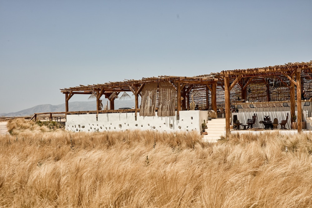 NAXIAN ON THE BEACH 40/50