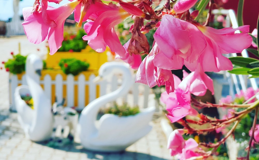 Ciftlik Butik Otel 13/28