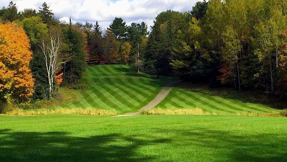 Pinestone Resort & Conference Centre 27/61