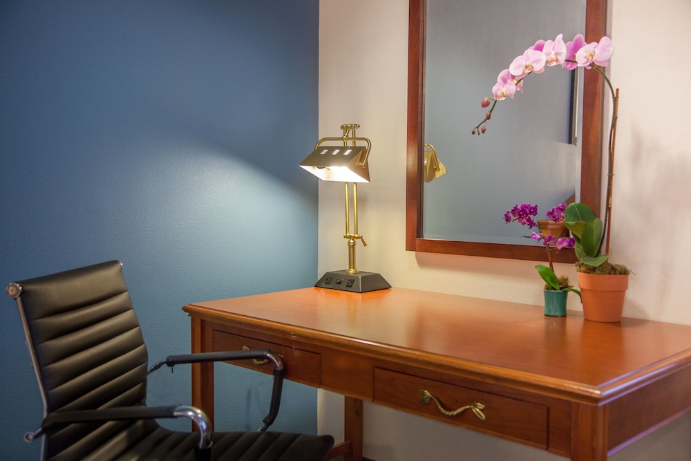 Federal City Inn & Suites 7/34