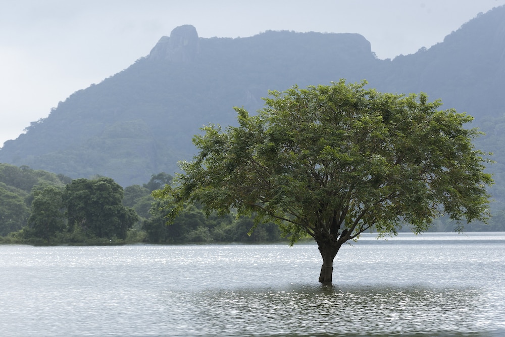 Amaya Lake 28/50