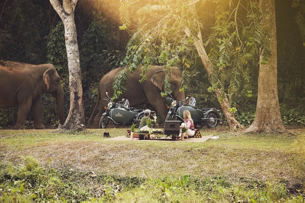 Anantara Golden Triangle Elephant Camp Resort 73/82