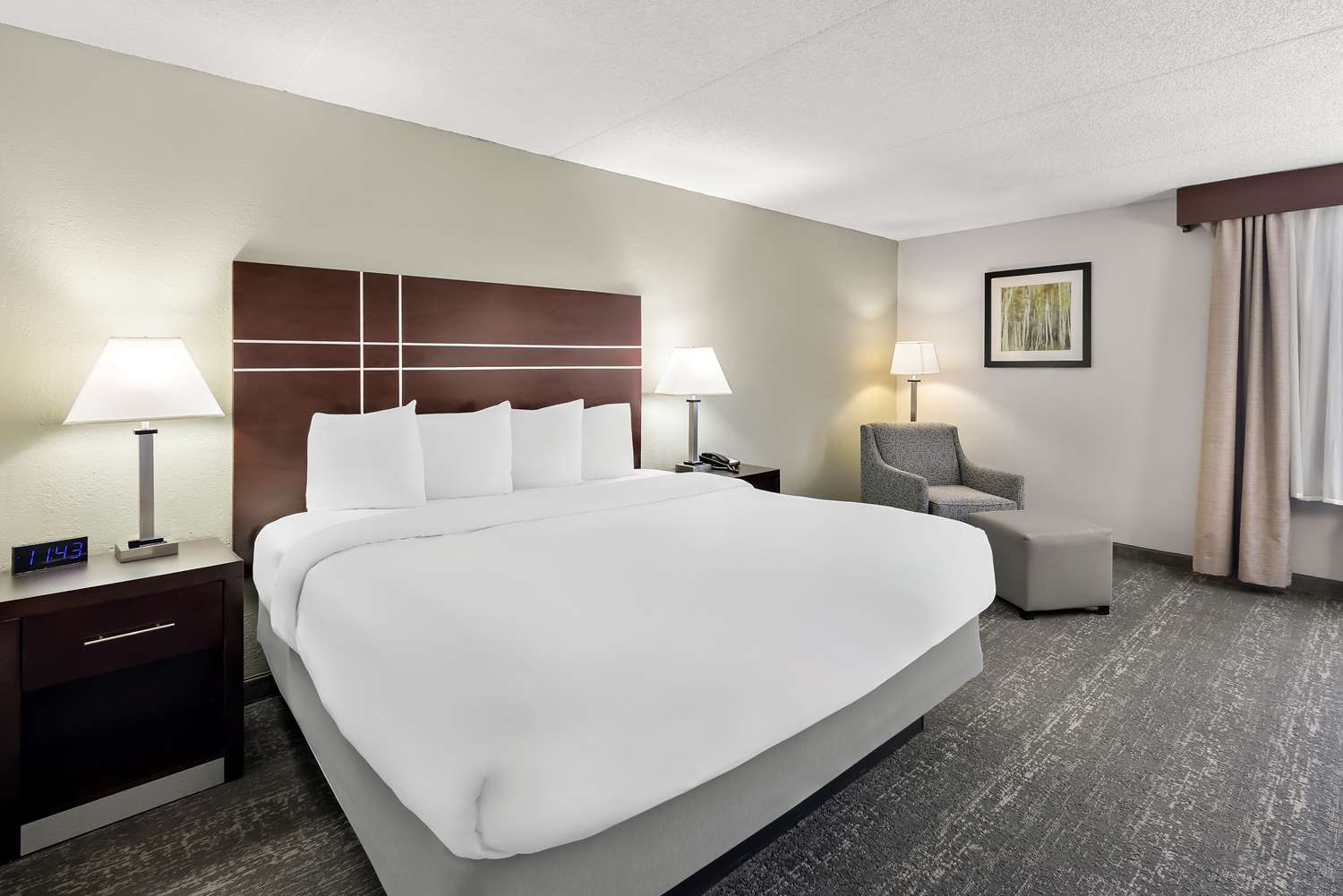 غرفة بسرير كينج يُسمح فيها بالحيوانات الأليفة، Best Western Luxbury Inn Fort Wayne 3/4