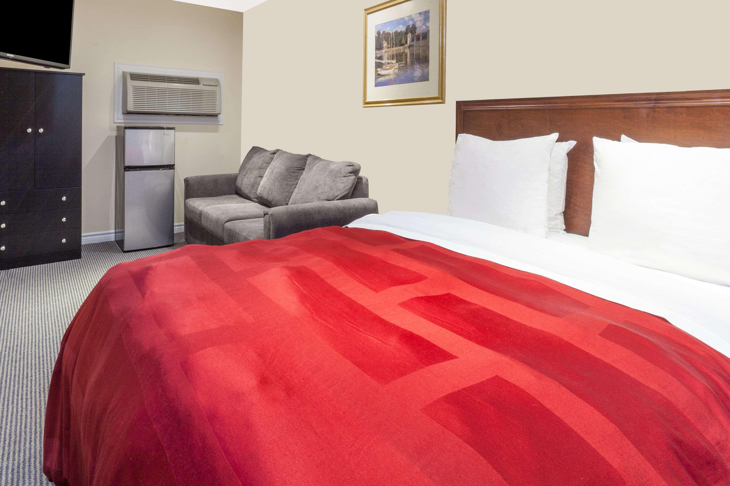 Room, Queen Bed