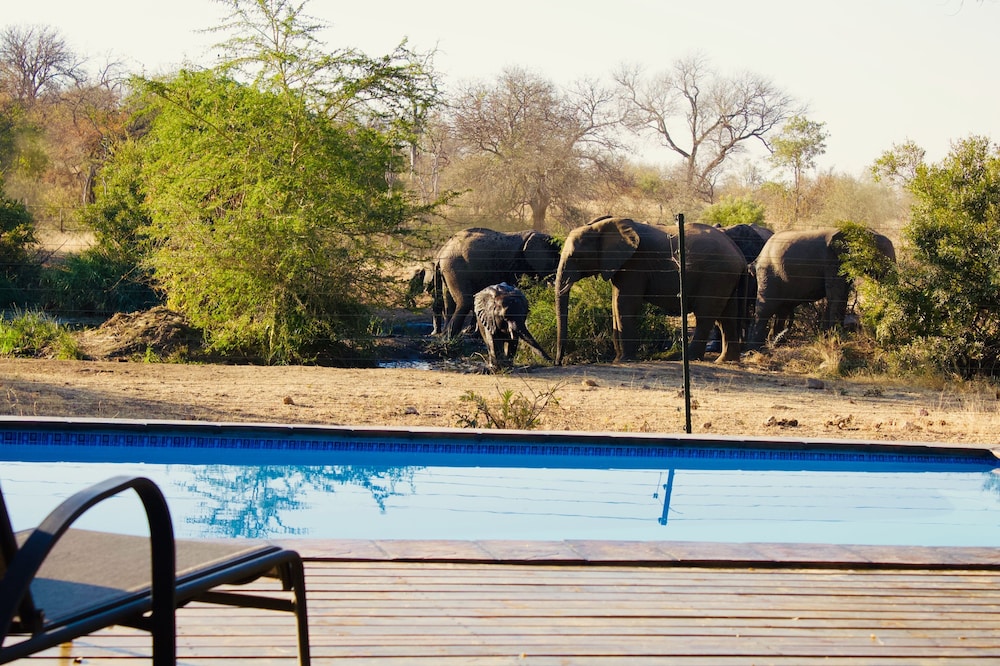 Masodini Private Game Lodge 32/47