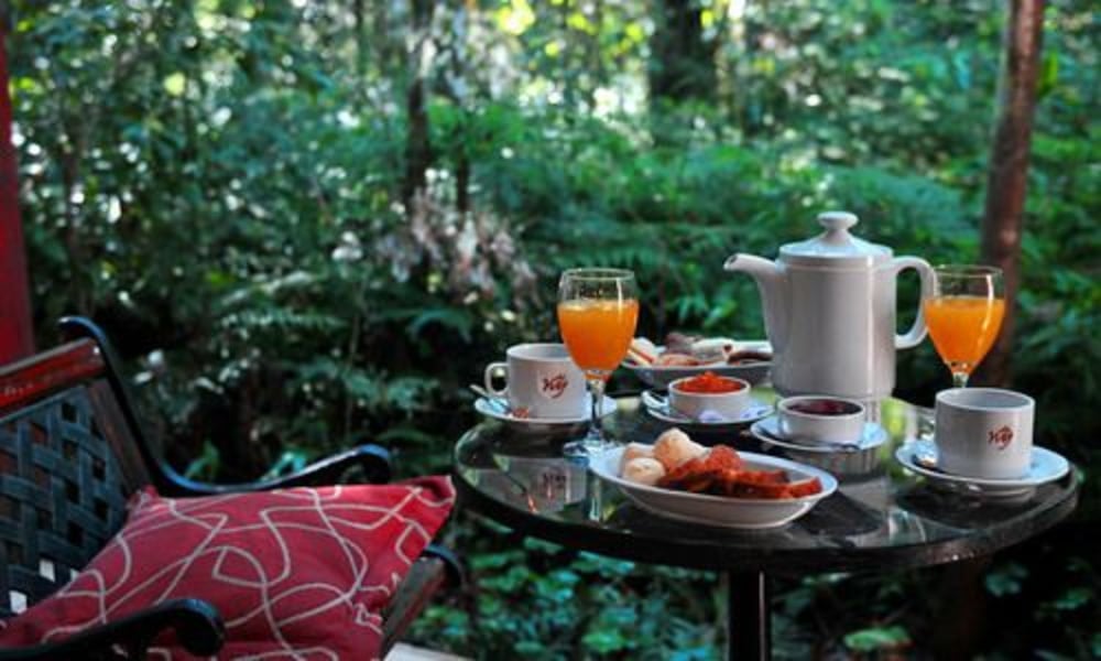Yvy de Selva Hotel 38/51
