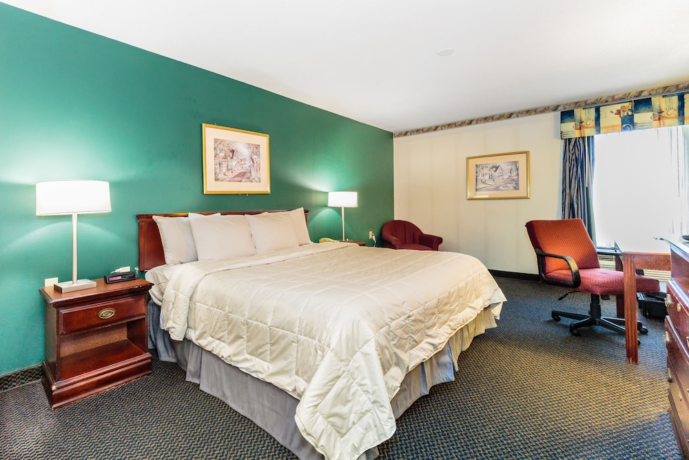 The View Inn Suites Hotel 15/69