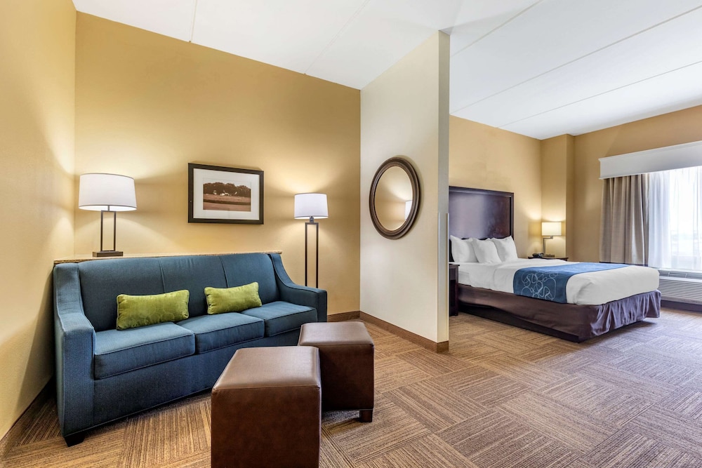 Comfort Suites Frisco 23/39