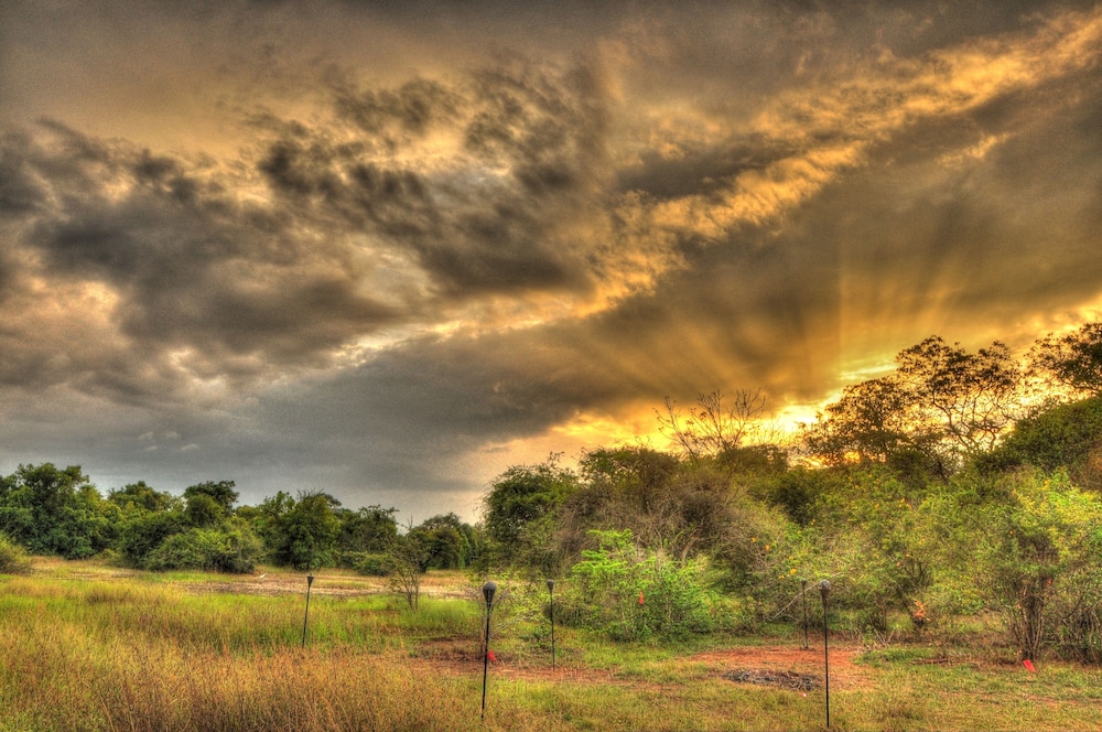 Mahoora Tented Safari Camp Wilpattu 40/50