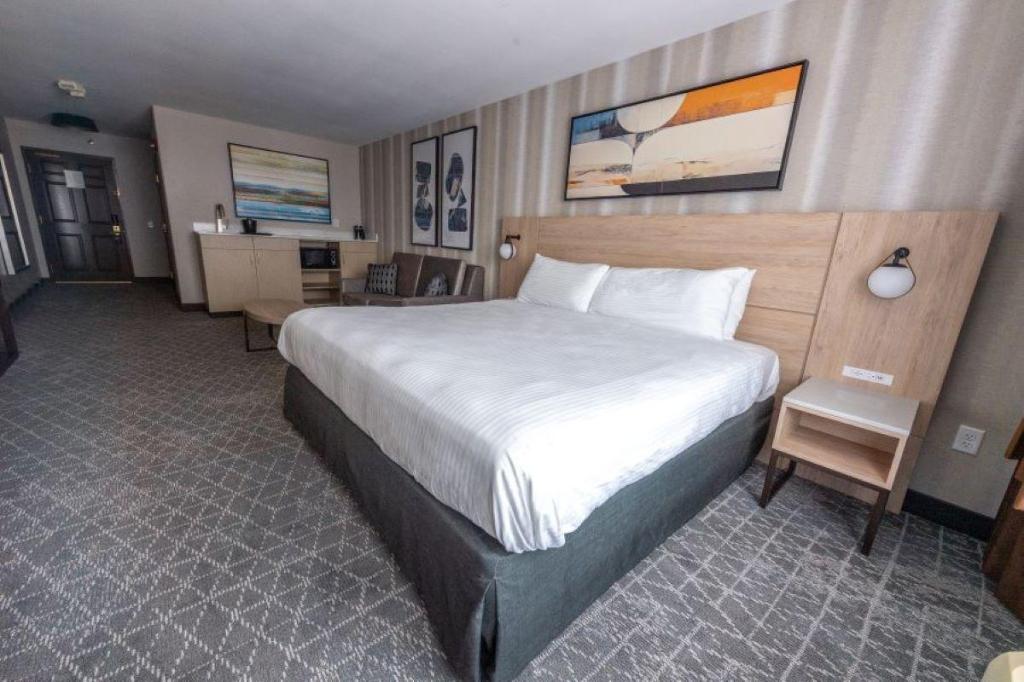 Accessible King Studio Suite with Full Sofa Bed