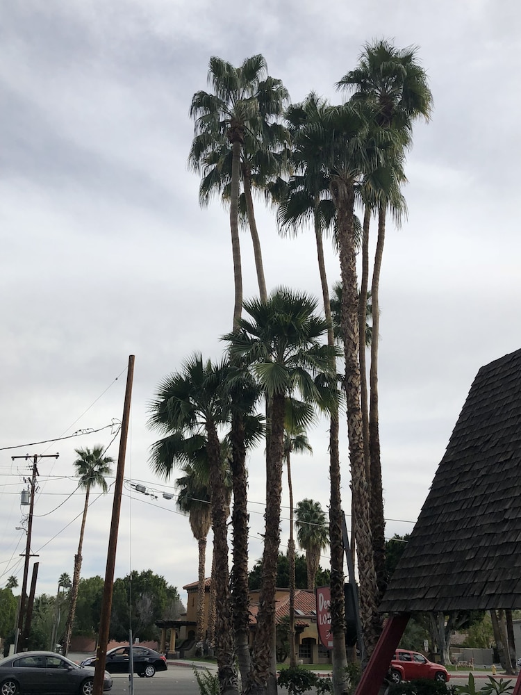 Desert Lodge 49/50