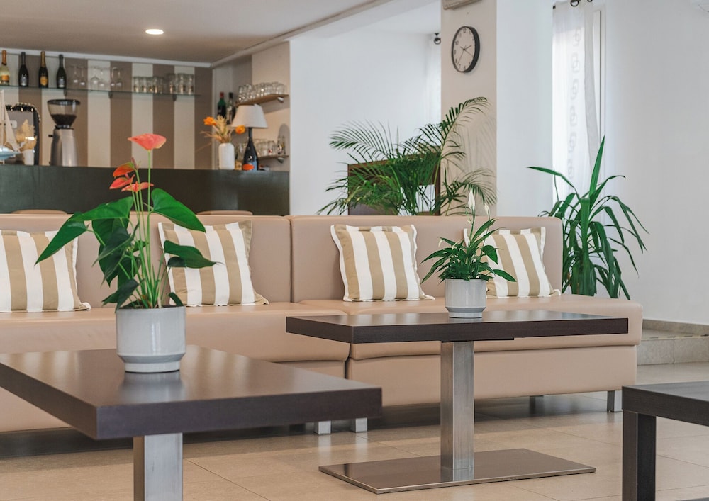 Hotel Carmen 33/50