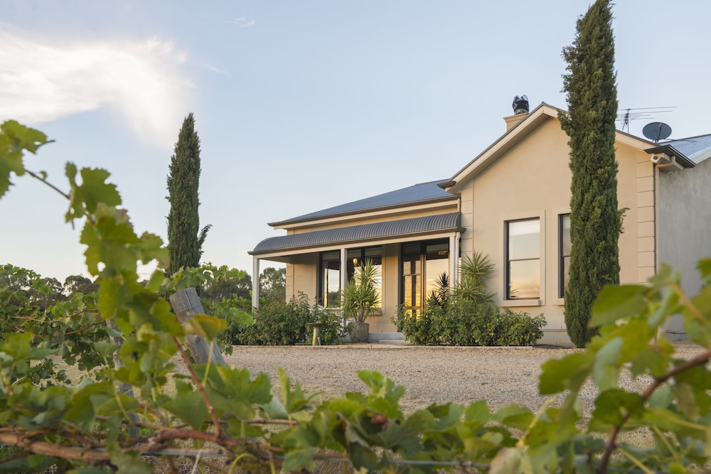 Barossa Shiraz Estate in LYNDOCH