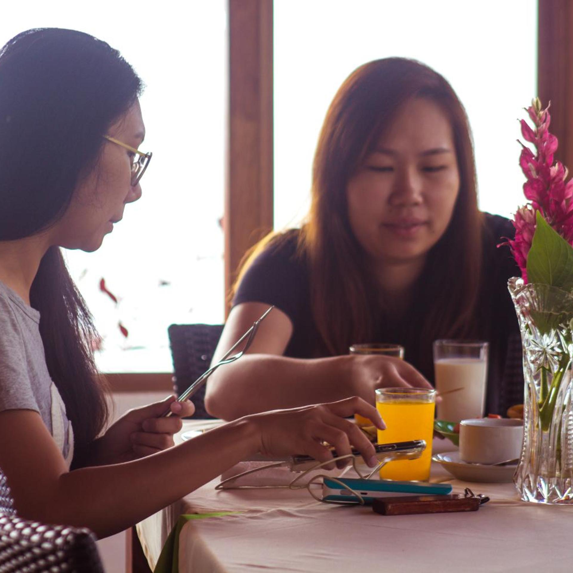 Toba Village Inn 14/59