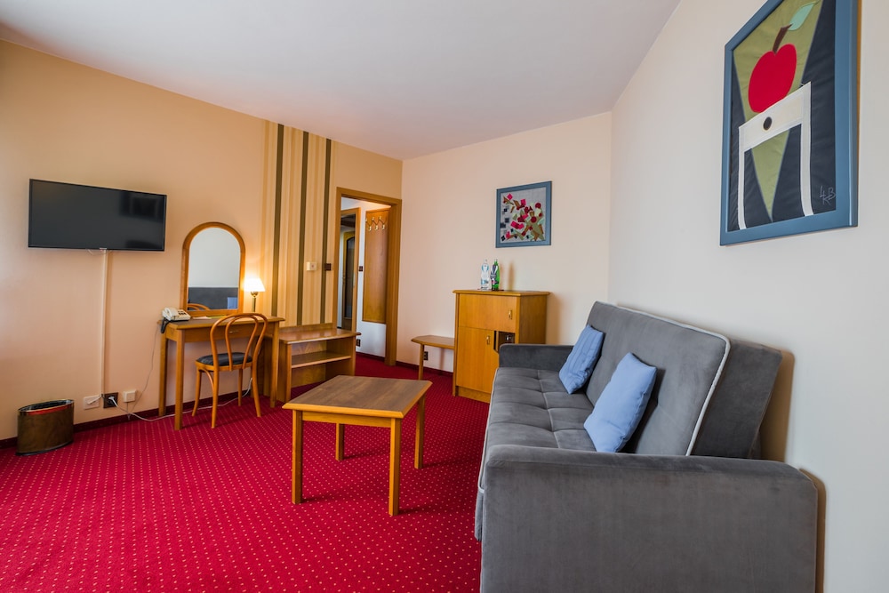 HOTEL CONCERTINO ZLATA HUSA 38/73