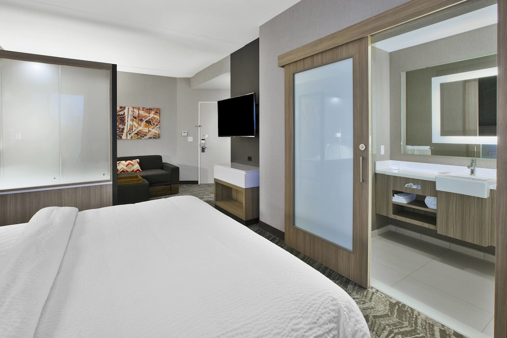 SpringHill Suites by Marriott Chattanooga North/Ooltewah 11/49