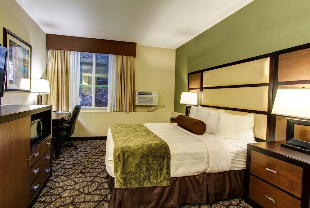 Best Western Plus Vancouver Mall Dr. Hotel & Suites 10/38