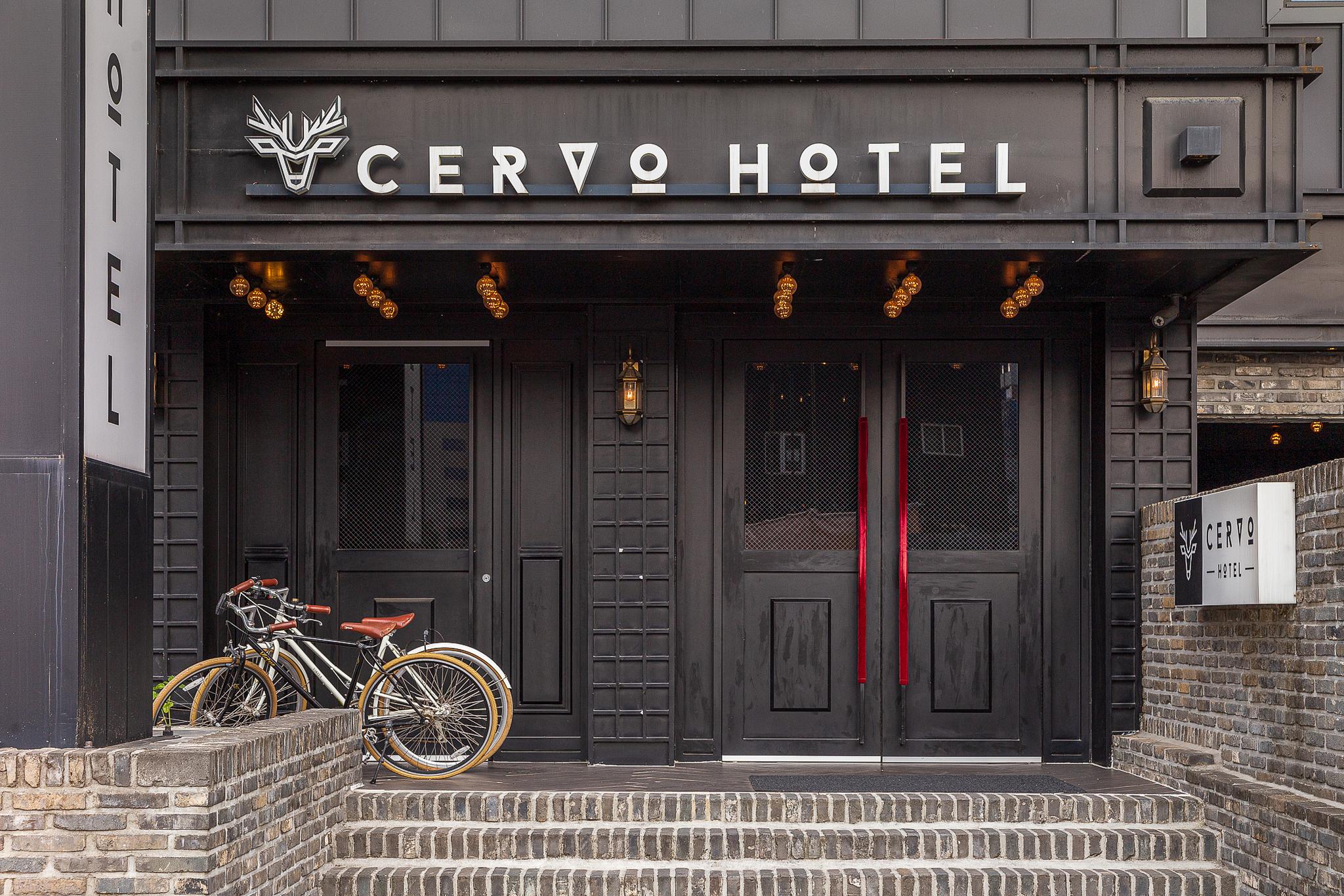 Cervo 8/42