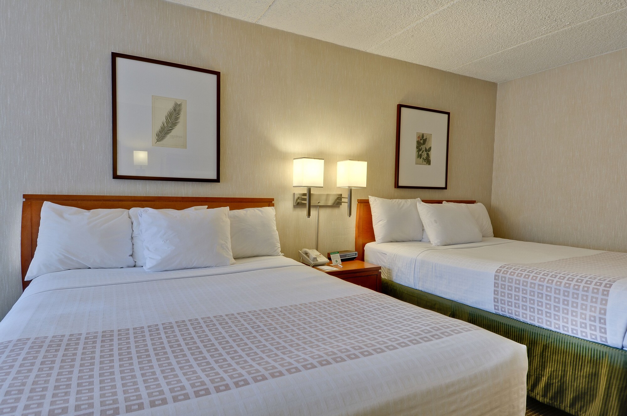 ROOM, SINGLE, 2 QUEEN BEDS