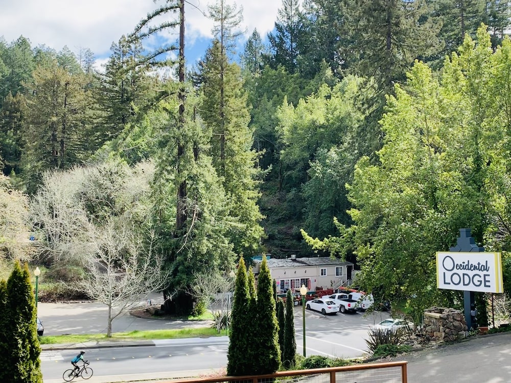 The Occidental Lodge 44/55
