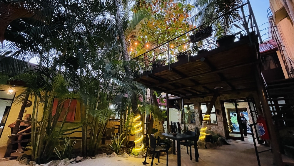HOTEL PLAYA DEL KARMA 36/54