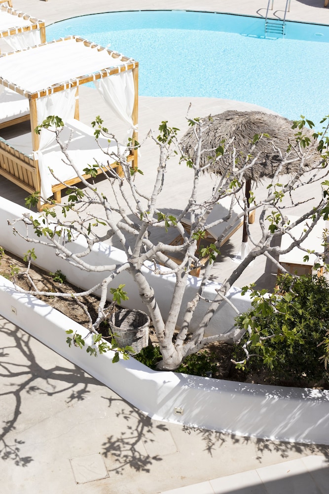 Casa Vitae Suites 48/60