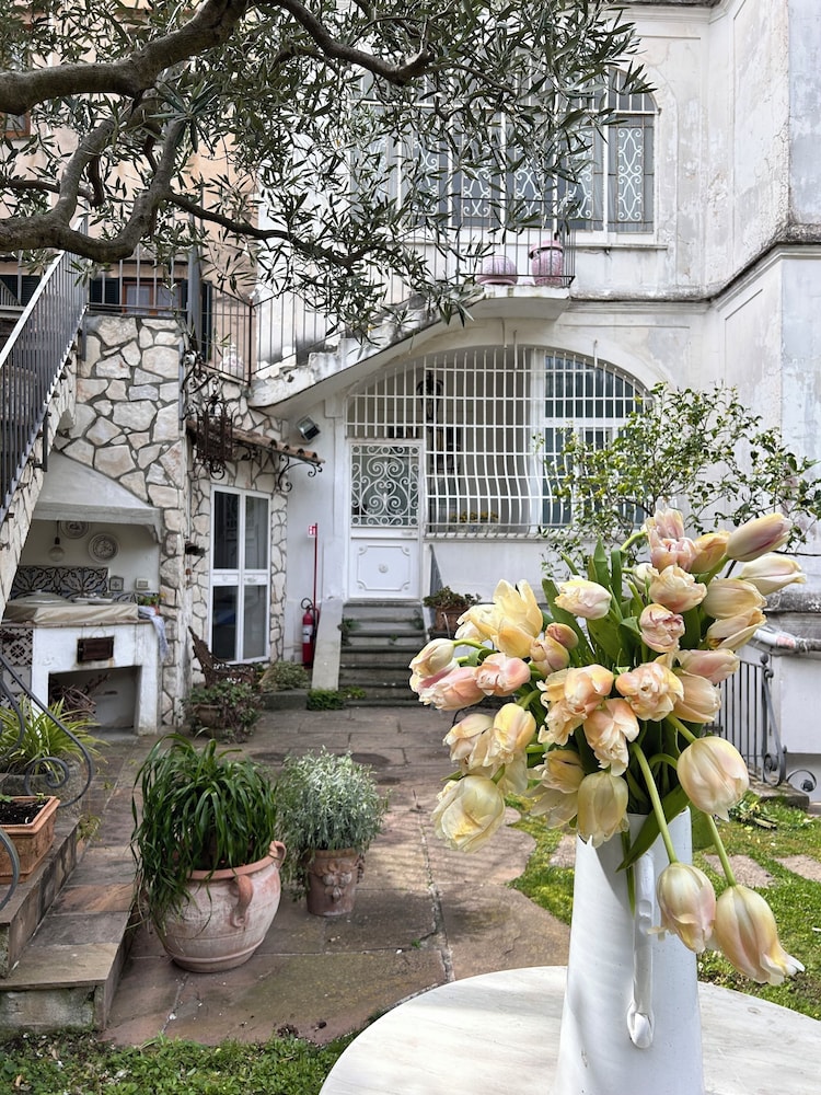 Palazzo Cacace 2/50