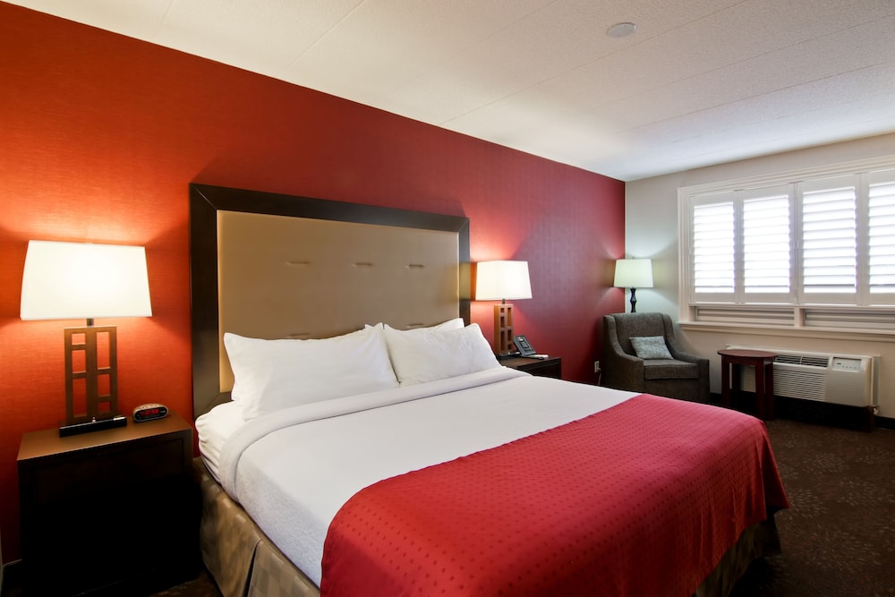 Holiday Inn Hotel Suites St Catharines Conference Ctr 18/81