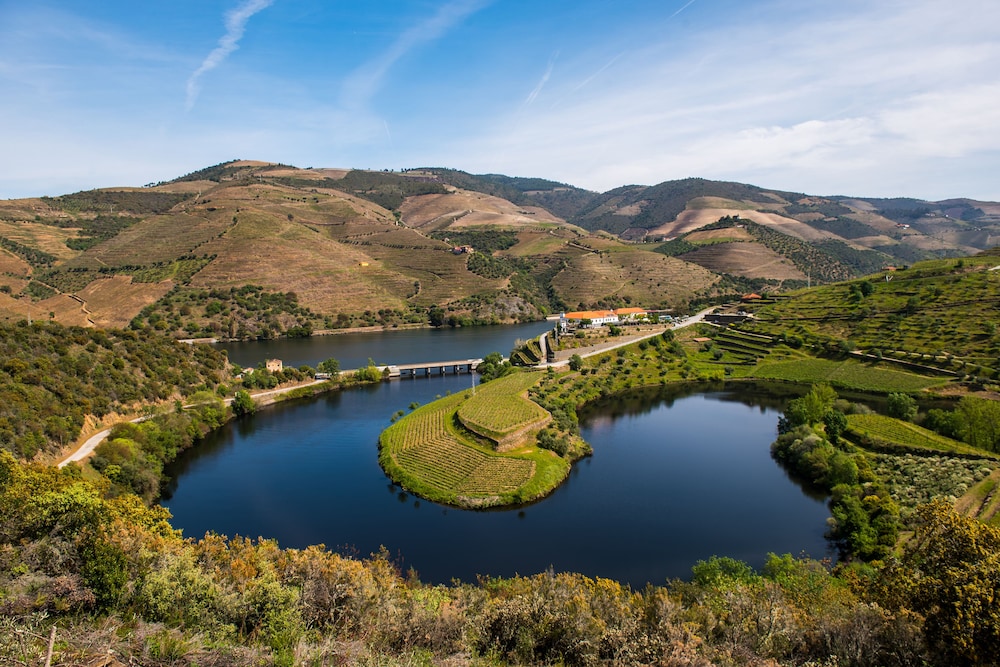 Vila Gale Douro Vineyards 61/71
