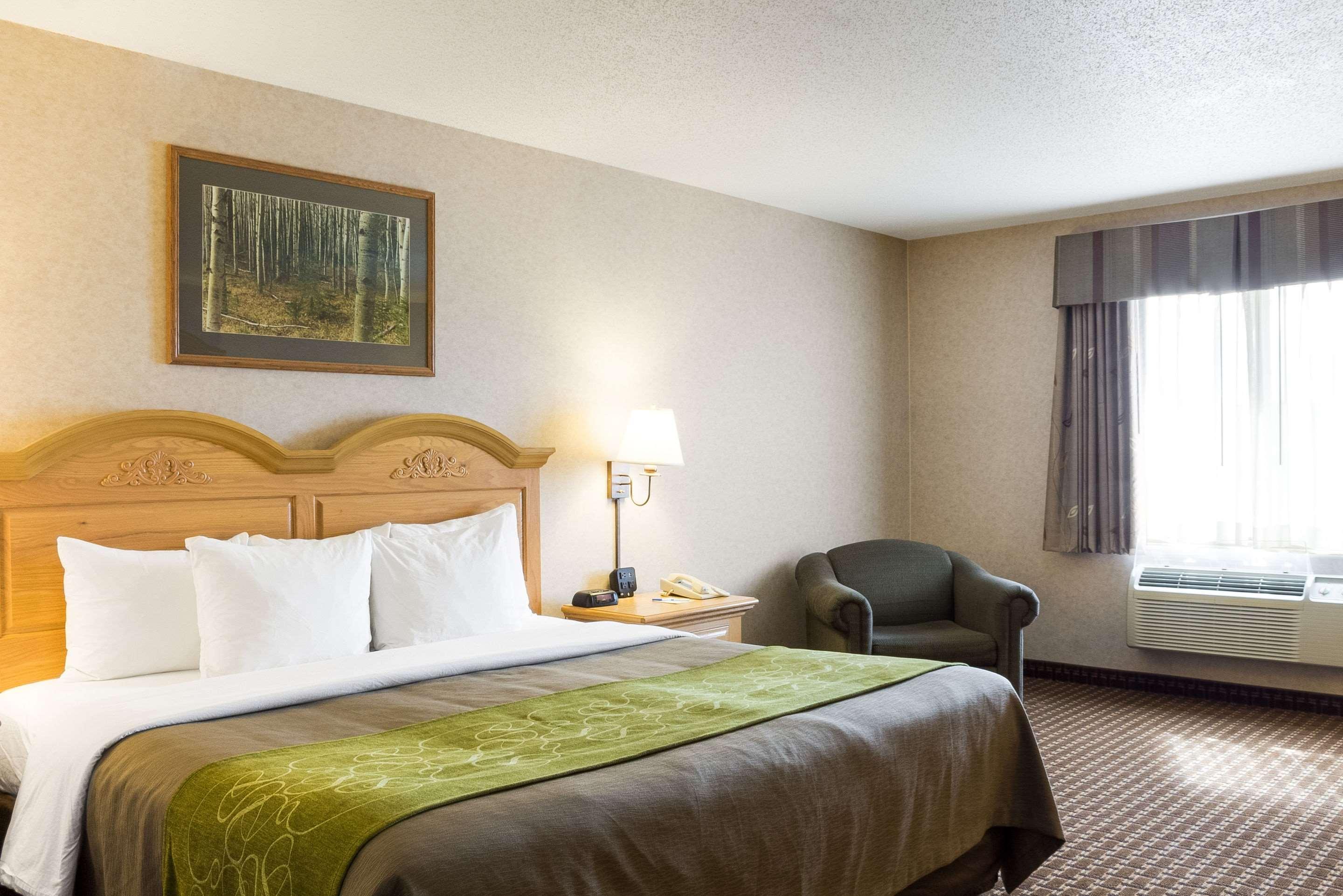 Suite, King Bed