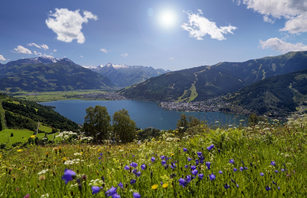 Alpenparks Residence Zell Am See Areitbahn 18/29