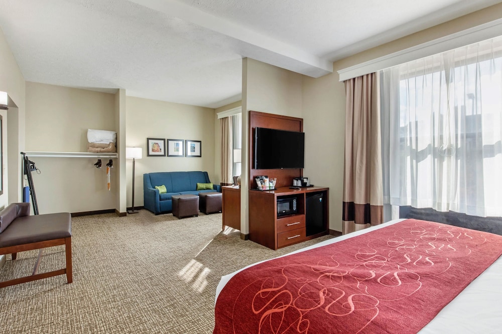 Comfort Suites Nashville 20/46