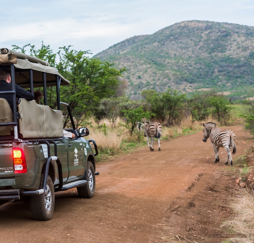 Ivory Tree Game Lodge 58/69