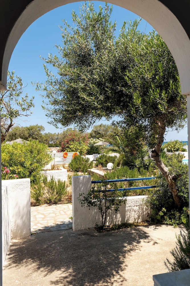 Naoussa 37/50