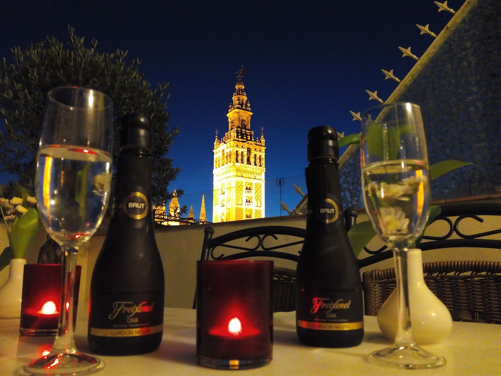 阿卡萨宫酒店(HOTEL PALACIO ALCAZAR) 图片3