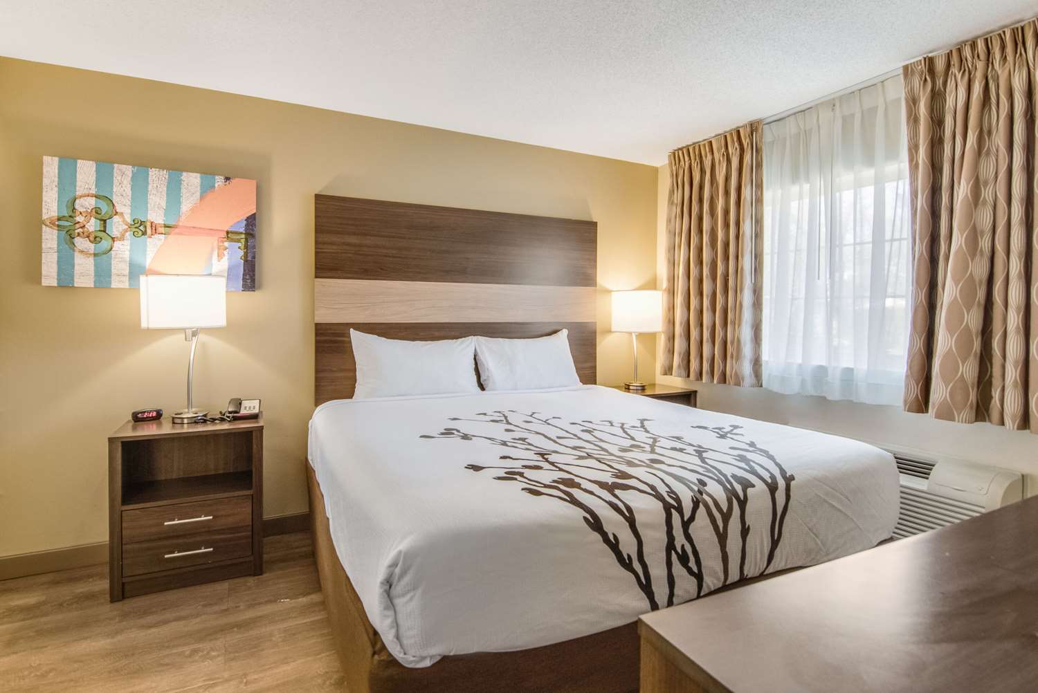 Efficiency, Suite, King Bed