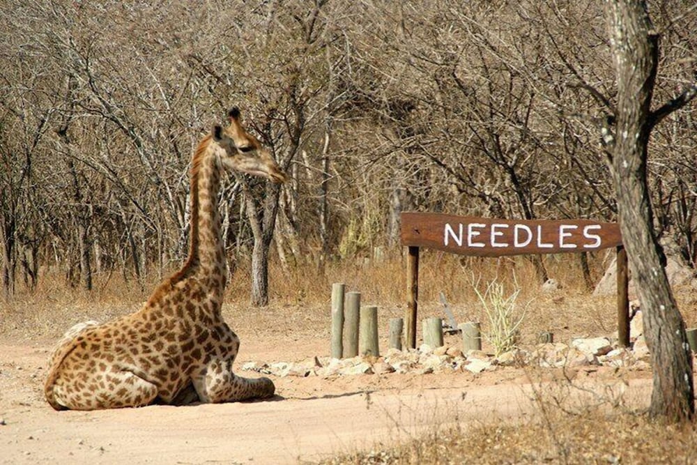 Needles Lodge 43/50