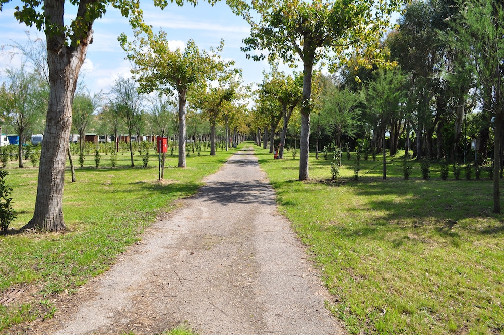 Camping Village Paestum 34/50