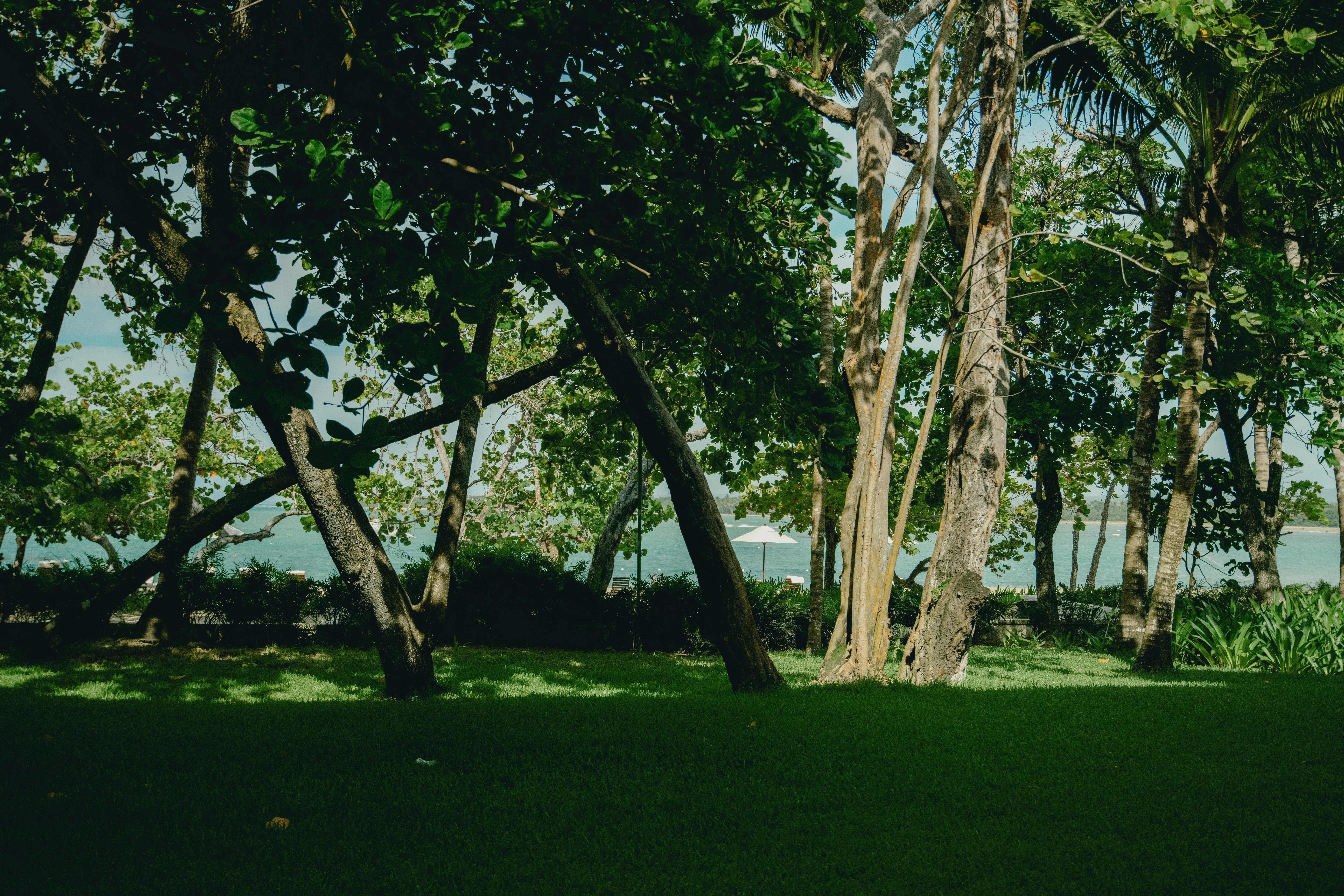 Casa Colonial Beach and Spa 64/72