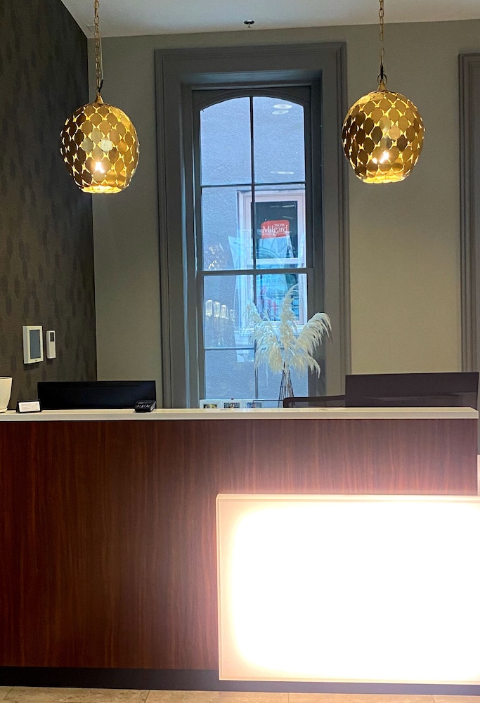 Harlow Hotel photo5