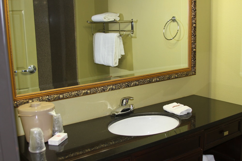 Red Roof Inn and Suites Detroit - Melvindale / Dearborn 12/42