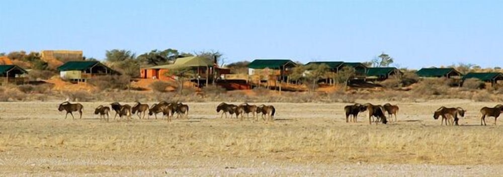 Suricate Tented Kalahari Lodge 13/22
