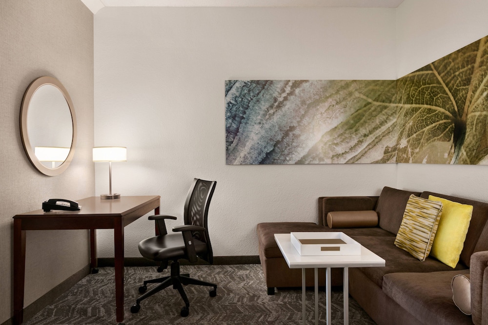 Springhill Suites Dulles Airport 27/54